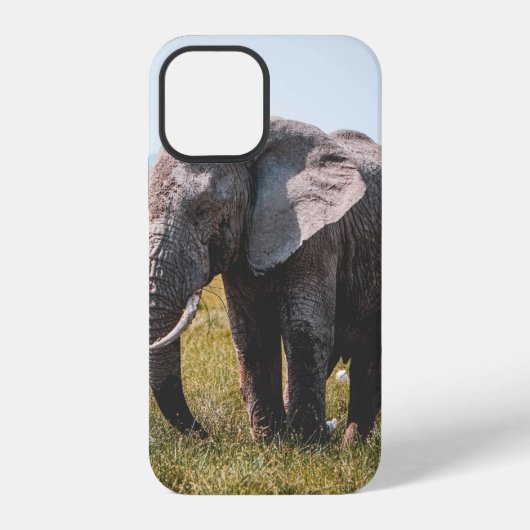 COQUE iPhone 12 ÉLÉPHANT ADORABLE (Verso)