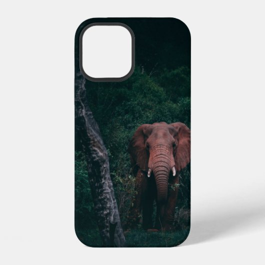 COQUE iPhone 12 ÉLÉPHANT MIGNON (Verso)