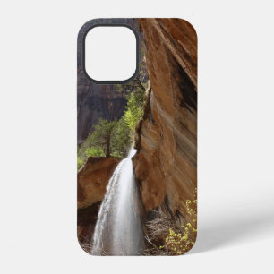 Coque iPhone 12 Emerald Pool Falls III du Parc national de Zion