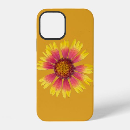 Coque iPhone 12 Étui iPhone Indian Blanket (Verso)