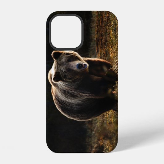 Coque iPhone 12 Étui pour iPhone 12 ours (Verso)