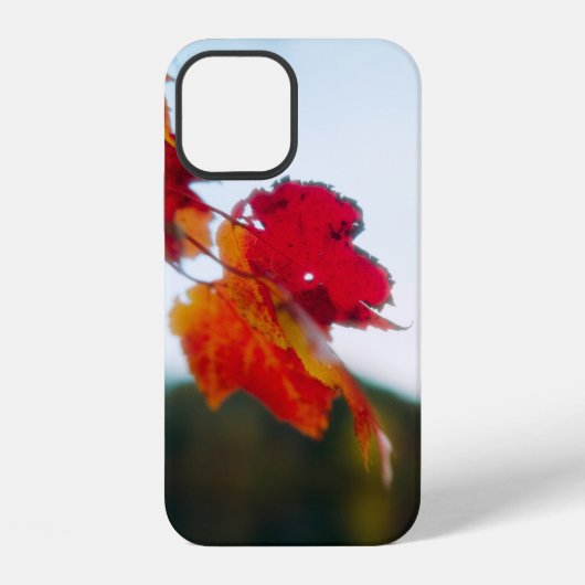 Coque iPhone 12 Étui pour iPhone Autumn Leaf (Verso)
