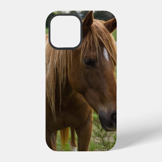 Coque iPhone 12 Étui pour iPhone Cheval Bonjour (Verso)