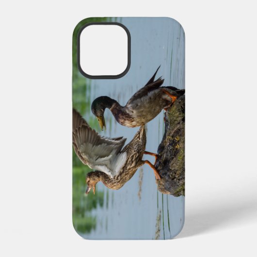 Coque iPhone 12 Étui pour iPhone Excusez-Moi (Verso)