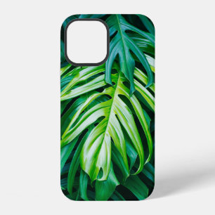 Coque iPhone 12 Feuilles vertes tropicales sur fond sombre, nature