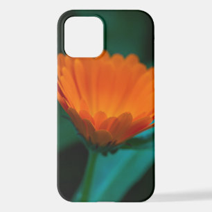 Coque iPhone 12 Fleur de marguerite orange