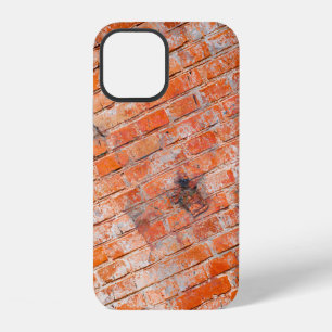 Coque iPhone 12 Fond grunge multicolore abstrait avec texture colo