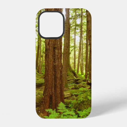 Coque iPhone 12 Forêt pluviale tempérée d'Alaska (Verso)