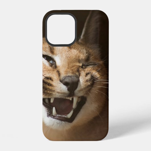 Coque iPhone 12 Goofy Lynx (Verso)