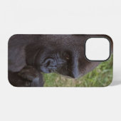 Coque iPhone 12 Gorilla (Verso Horizontal)