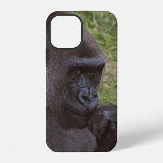 Coque iPhone 12 Gorilla (Verso)