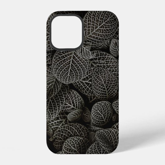 COQUE iPhone 12 GREEN AND BROWN PINE CONES (Verso)