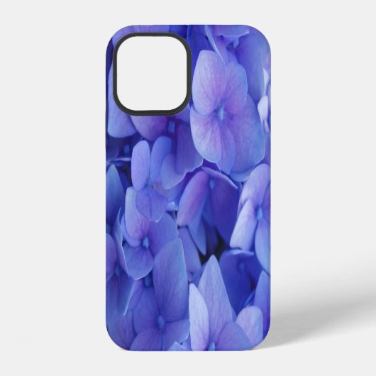 Coque iPhone 12 Hydrangée bleue (Verso)