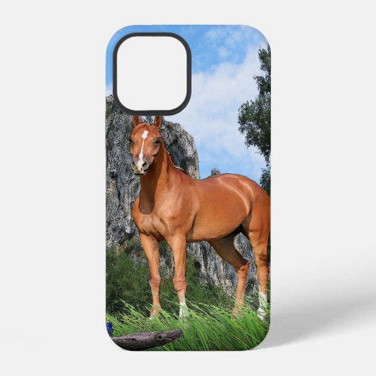Coque iPhone 12 J'adore les chevaux (Verso)