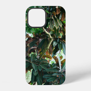 Coque iPhone 12 Jungle Tropical Vert
