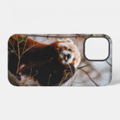 COQUE iPhone 12 KOALA MIGNON (Verso Horizontal)