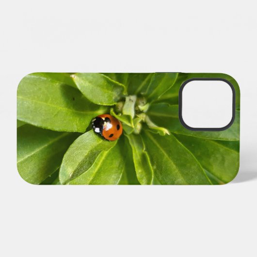 Coque iPhone 12 Ladybug (Verso Horizontal)