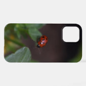 Coque iPhone 12 Ladybug (Verso Horizontal)
