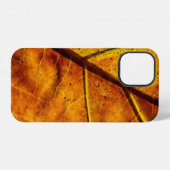 Coque iPhone 12 Leaf leaf veins fall texture (Verso Horizontal)