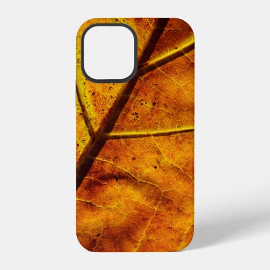 Coque iPhone 12 Leaf leaf veins fall texture (Verso)