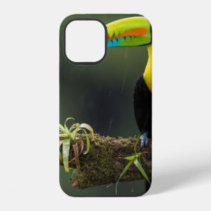 Coque iPhone 12 les oiseaux sont les seuls animaux avec des plumes