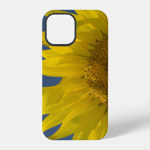 Coque iPhone 12 Levée de tournesol