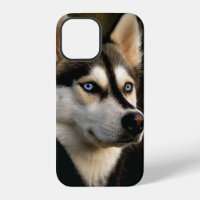 Magnifique Coussin de Lancement Husky