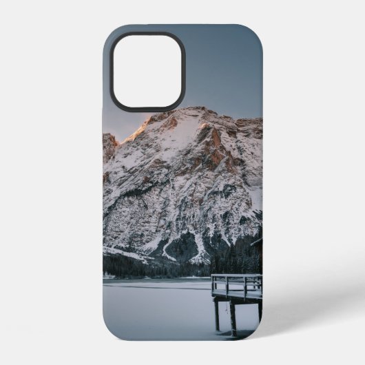 COQUE iPhone 12 MAISON BROW MONT BEAR (Verso)
