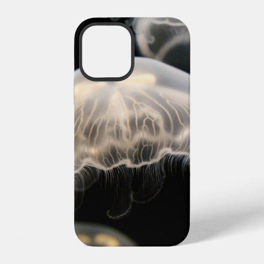 COQUE iPhone 12 MÉDUSE BLANCHE (Verso)