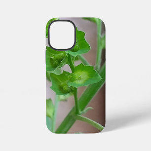 Coque iPhone 12 Mini Belle fleur cadeau anniversaire mariage