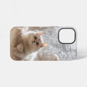 Coque iPhone 12 Mini Chat blanc majestueux (Verso Horizontal)
