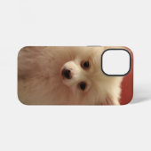 Coque iPhone 12 Mini Chien de Poméranie mignon (Verso Horizontal)