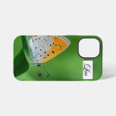 Coque iPhone 12 Mini Fond vert et papillon jaune et blanc et araignée (Verso Horizontal)