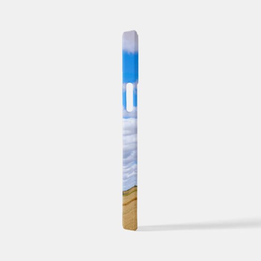 Coque iPhone 12 Mini Harvested wheat fields (Côté droit)