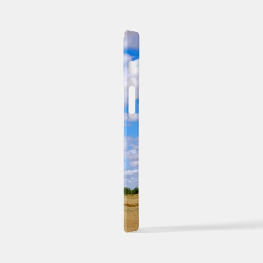 Coque iPhone 12 Mini Harvested wheat fields (Côté gauche)