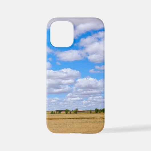 Coque iPhone 12 Mini Harvested wheat fields (Verso)