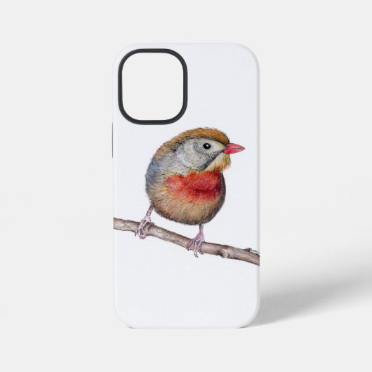 Coque iPhone 12 Mini Pekin Robin Bird (Leiothrix lutea) (Verso)