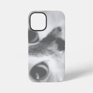 COQUE iPhone 12 MINI PHOTOGRAPHIE DE PORTRAIT DE CHAT TRÈS MIGNON DE PR