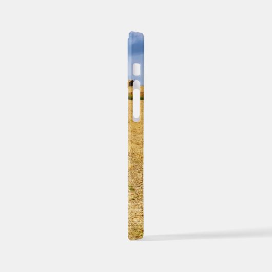 Coque iPhone 12 Mini Route vers Sansol (Côté gauche)