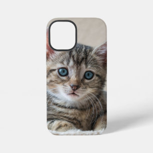 Coque iPhone 12 Mini Tête de Chat Mignonne