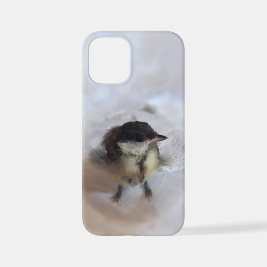 Coque iPhone 12 Mini Tidi my Bird le Parus Major (Verso)