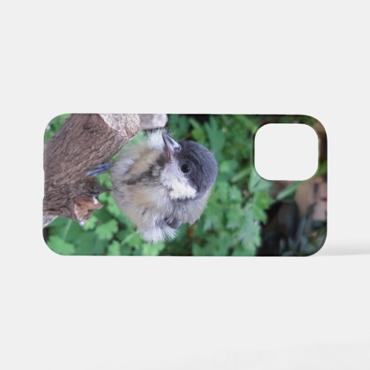 Coque iPhone 12 Mini Tidi my Bird le Parus Major (Verso Horizontal)