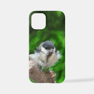 Coque iPhone 12 Mini Tidi my Bird le Parus Major