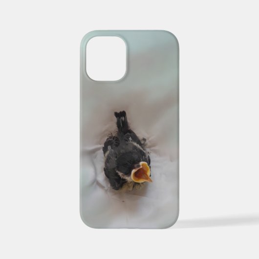 Coque iPhone 12 Mini Tidi my Bird le Parus Major (Verso)