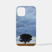 Coque iPhone 12 Mini Tree in an empty field (Verso)