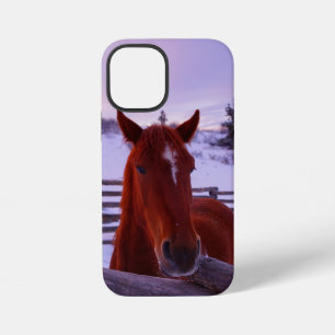 Coque iPhone 12 Mini Tucker dans l'iPhone de neige 12 Mini Coque
