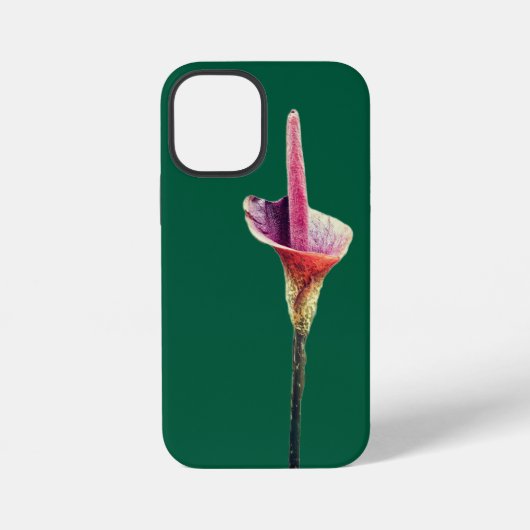 Coque iPhone 12 Mini Une fleur de lys-vodou (Verso)