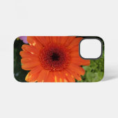 Coque iPhone 12 Mini Zinnia (Verso Horizontal)