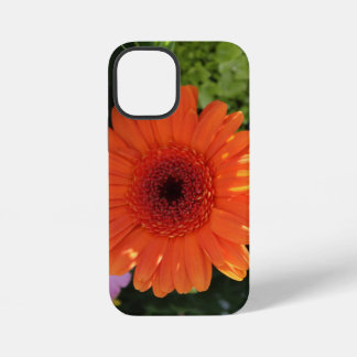 Coque iPhone 12 Mini Zinnia