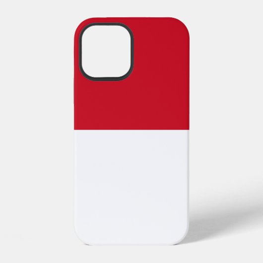 Coque iPhone 12 Monaco (Verso)